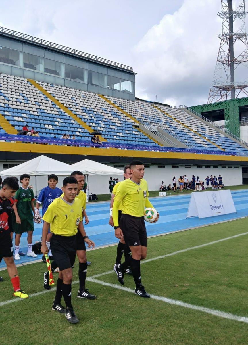 Árbitros en acción